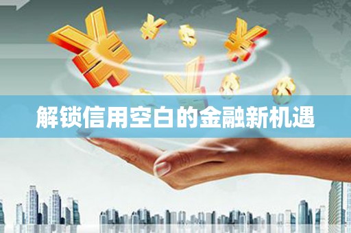 志丹解锁信用空白的金融新机遇