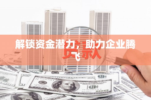 志丹解锁资金潜力，助力企业腾飞