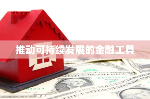 志丹推动可持续发展的金融工具