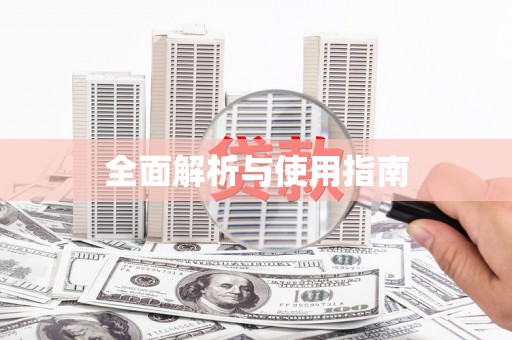 志丹全面解析与使用指南