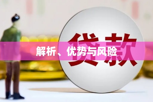 志丹解析、优势与风险