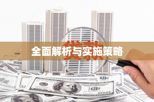 志丹全面解析与实施策略