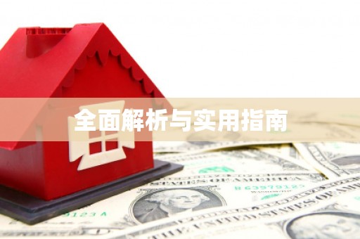 志丹全面解析与实用指南