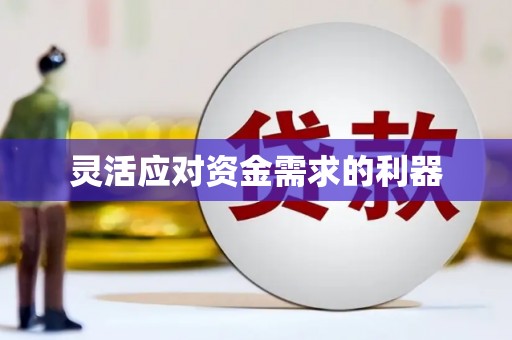志丹灵活应对资金需求的利器
