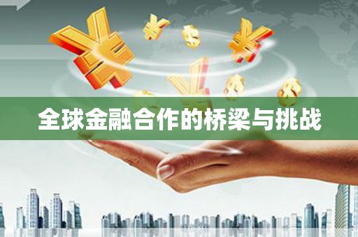 志丹全球金融合作的桥梁与挑战