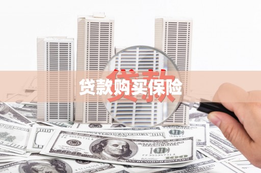 志丹贷款购买保险
