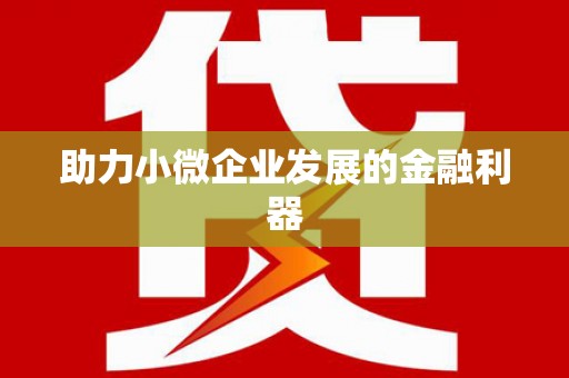 志丹助力小微企业发展的金融利器