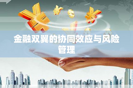 志丹金融双翼的协同效应与风险管理