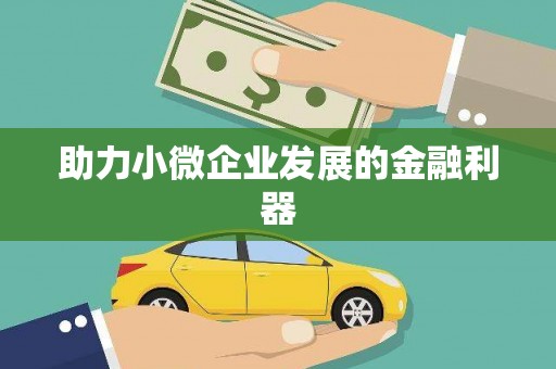 志丹助力小微企业发展的金融利器