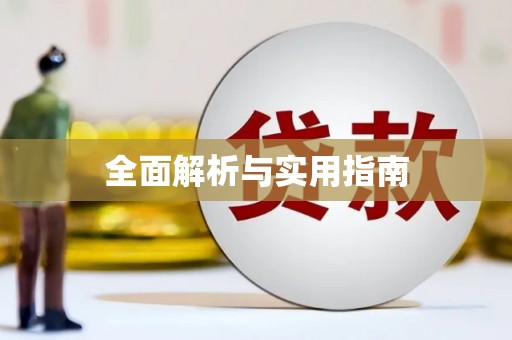 志丹全面解析与实用指南