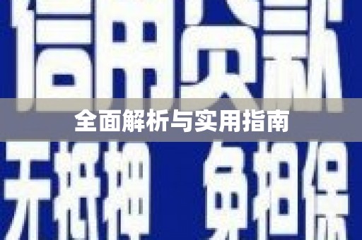 志丹全面解析与实用指南